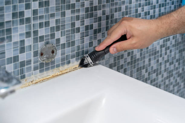 Best Mold Remediation for Specific Building Types in Ashland, CA